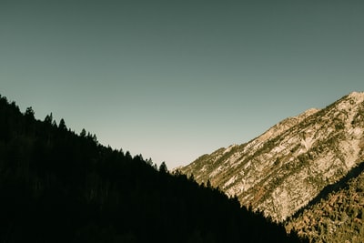 绿色的树在布朗山蓝天白天
